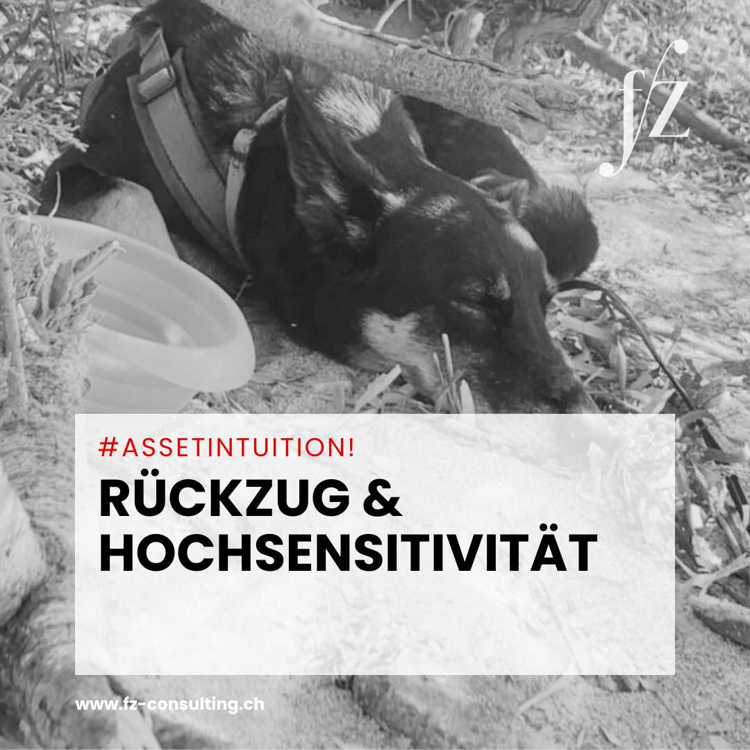 Rückzug & Hochsensitivität