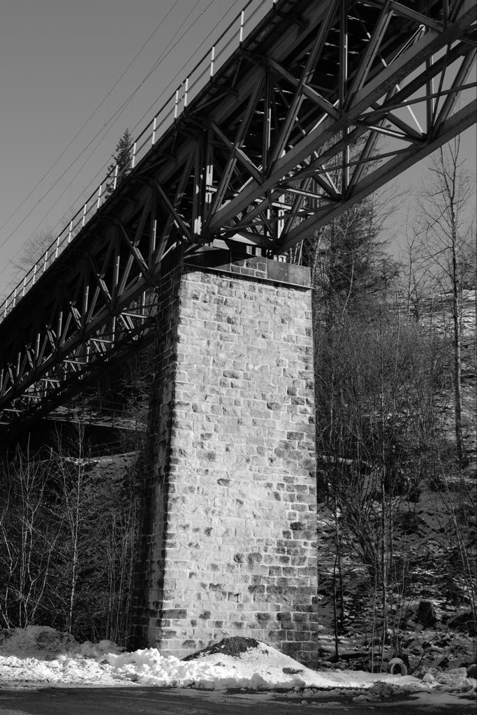 Leadership – Vom Kopf zum Herzen