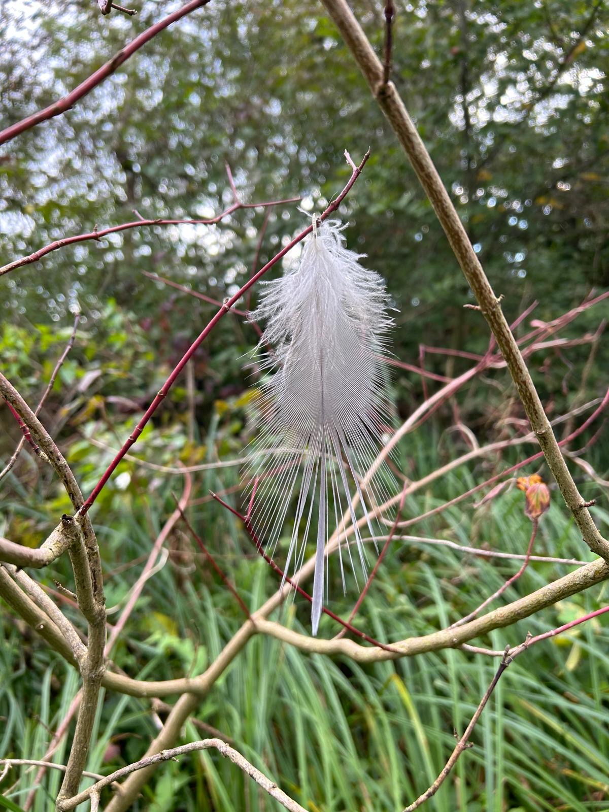 Immer wieder loslassen…