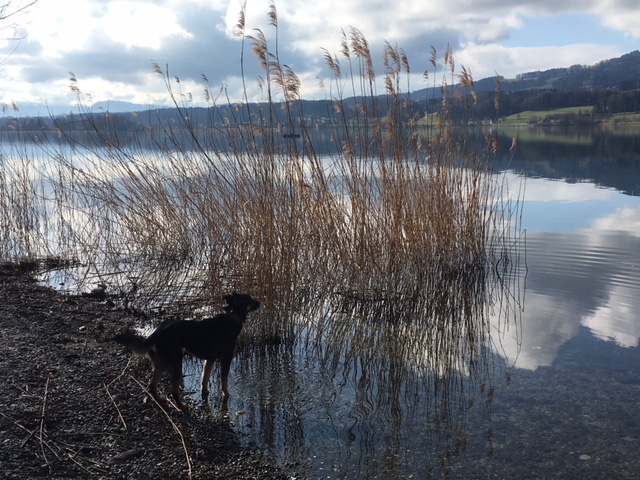 Luege, lose, laufe – auch heute noch aktuell