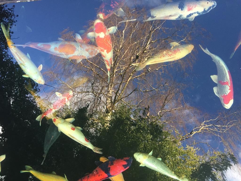 Erhöhte Wahrnehmungsfähigkeit als Unternehmensressource verstehen und leben