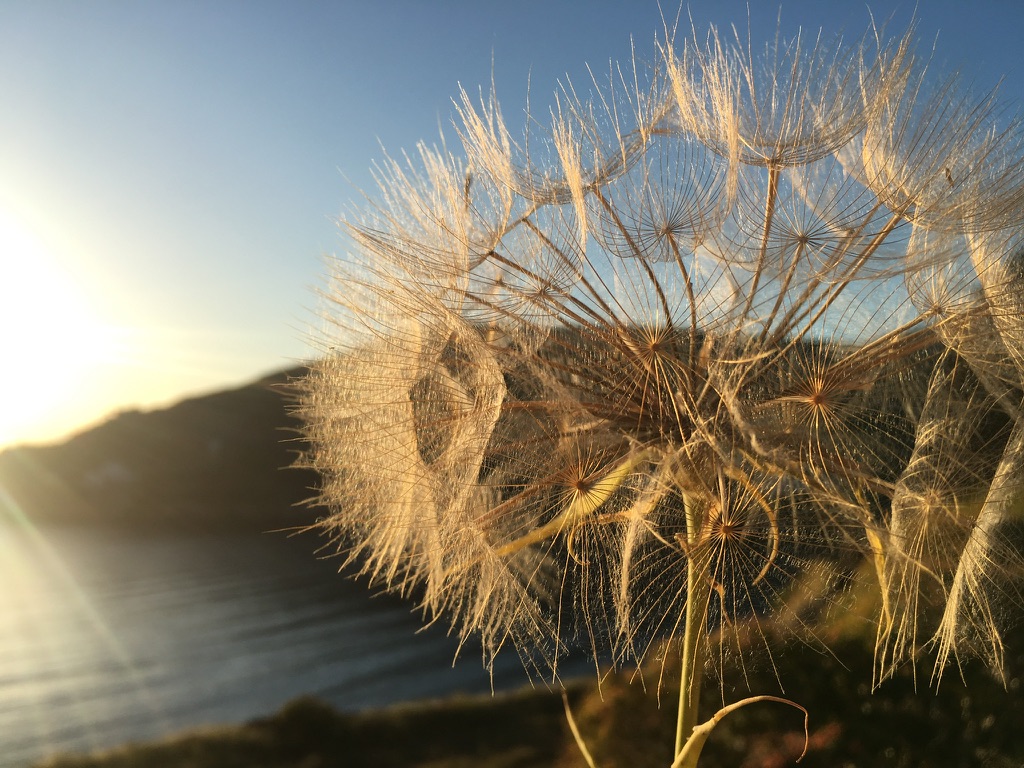 Und? Sind Sie eher verzettelt oder fokussiert?