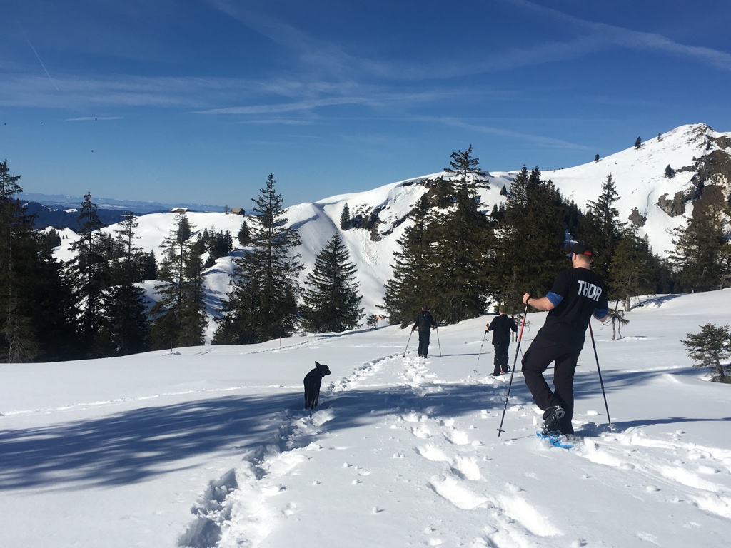 Festgetretene Wege oder eigene Fussabdrücke hinterlassen?