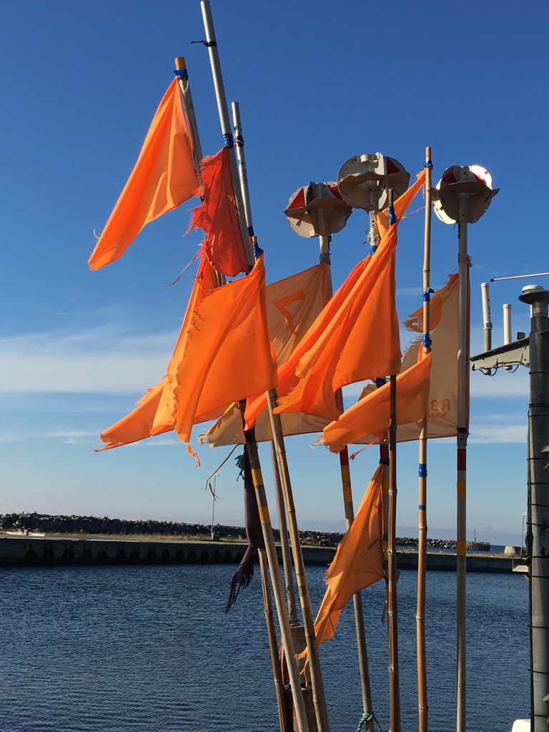 Visionen beginnen mit Wünschen