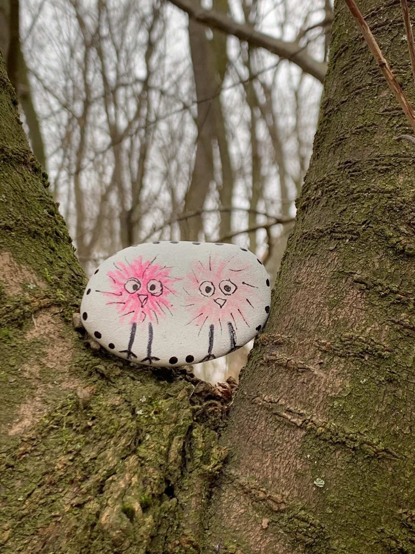 Rauf in die Vogelperspektive