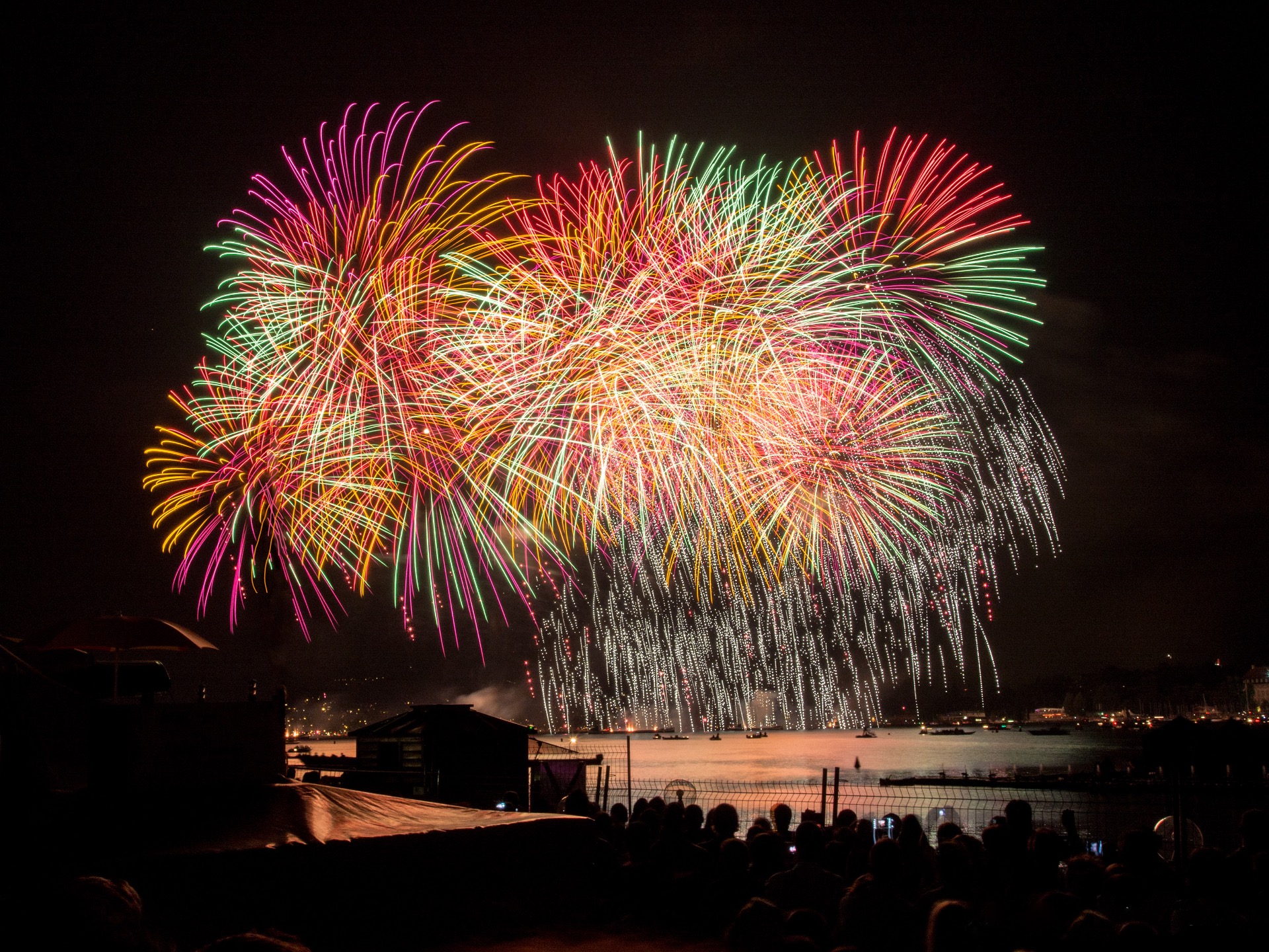 Farbexplosion zum neuen Jahr